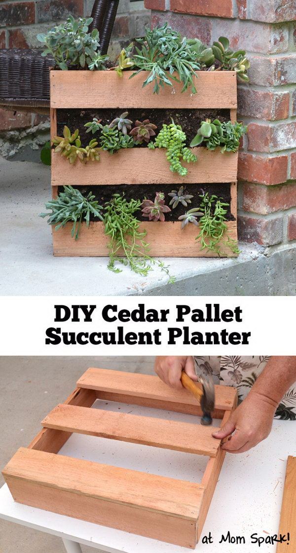 DIY Cedar Pallet Succulent Planter 