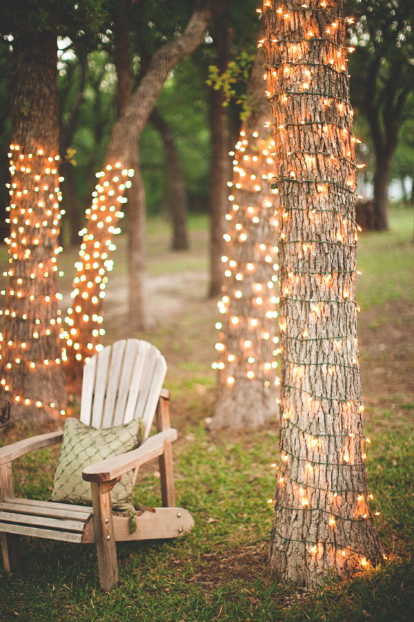 Amazing Tree Lights. 