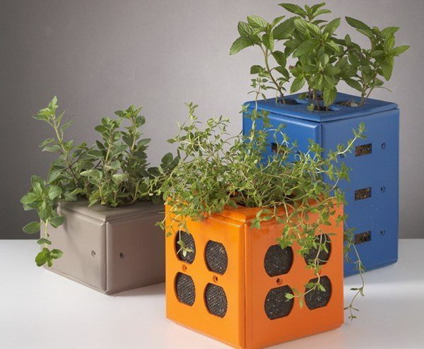 Desktop Planters Made from  Old Switch Plate Covers. See the directions 