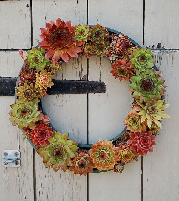 Tire Used As Base For Succulent Wreath. 