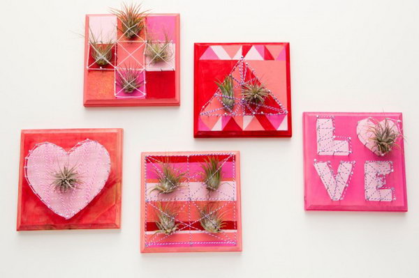 Valentine Air Plant String Art. Check out how to make it 