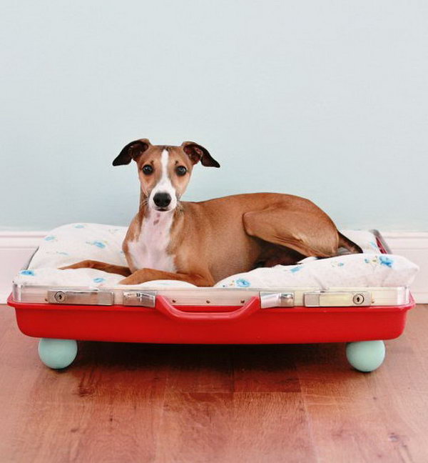 DIY Suitcase Pet Bed. 