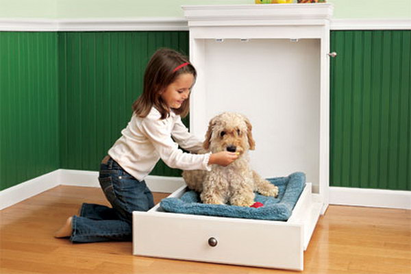 How to Build a Murphy Bed for Your Dog. 