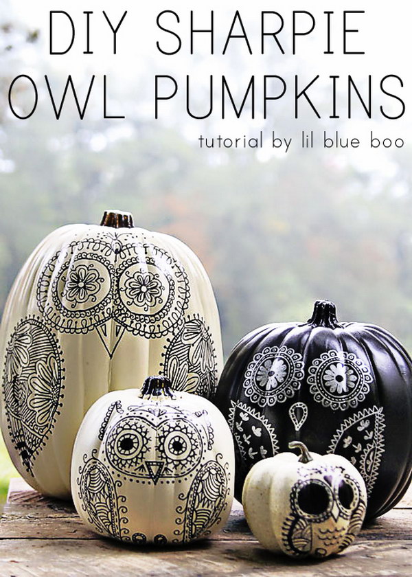 DIY Shappie Owl Pumpkins. 