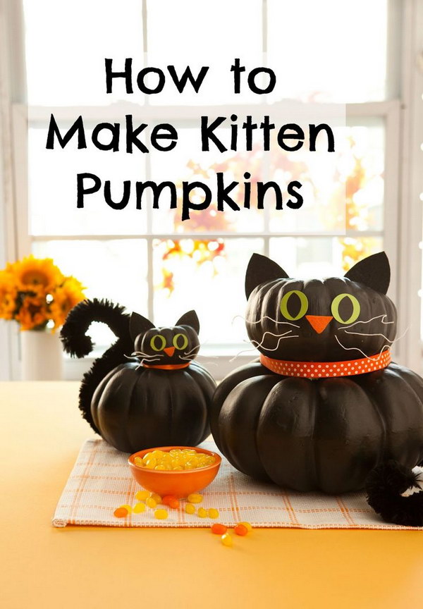 Halloween Black Cat Pumpkins. 