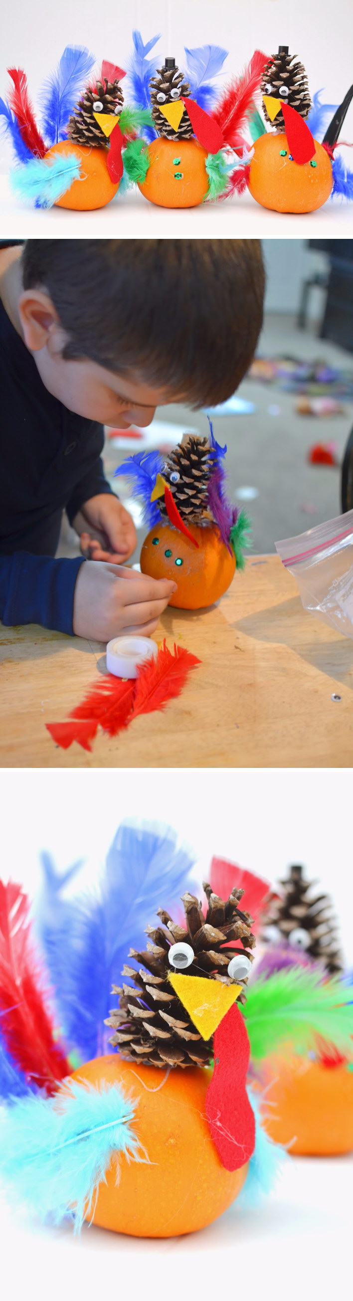 DIY Pumpkin and Pine Cone Turkey Craft. 