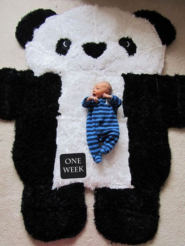 DIY Over sized Panda Rug. Love this idea to show the growth and transformation of baby during the first year. Via 