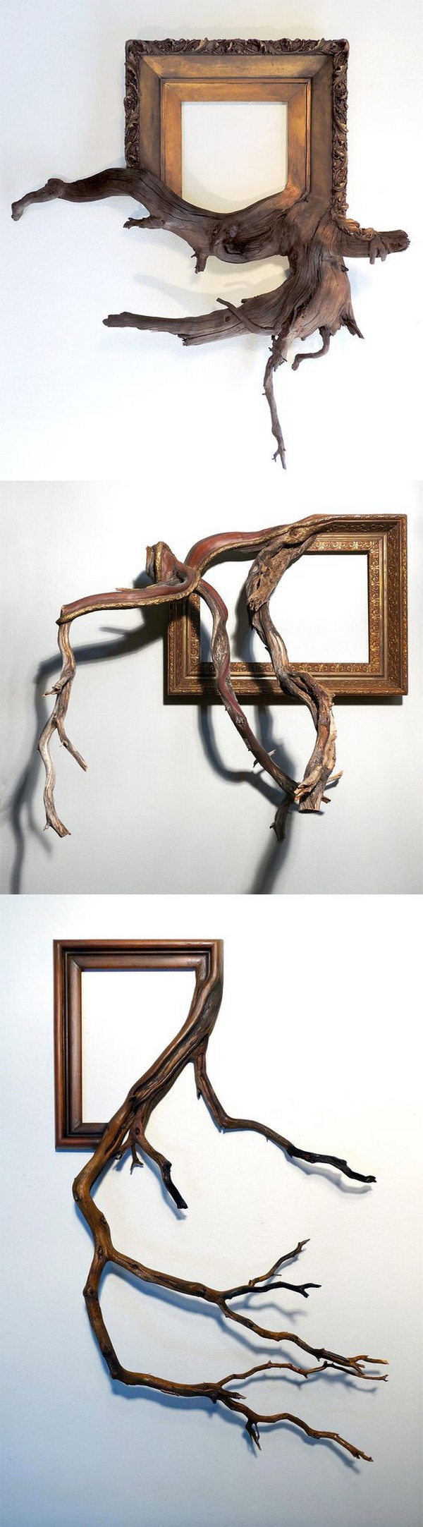 Ornate Vintage Picture Frames with Tree Branches. 