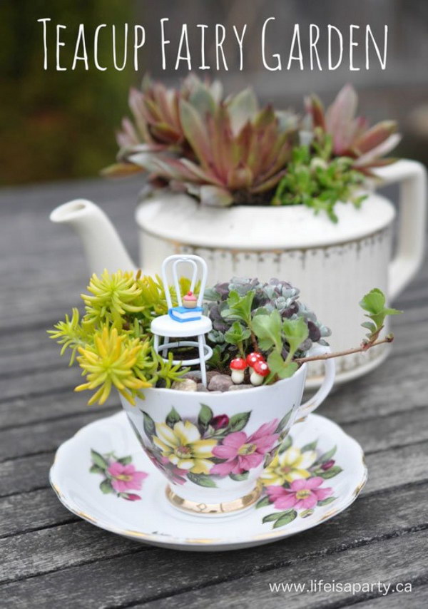 DIY Teacup Fairy Garden 