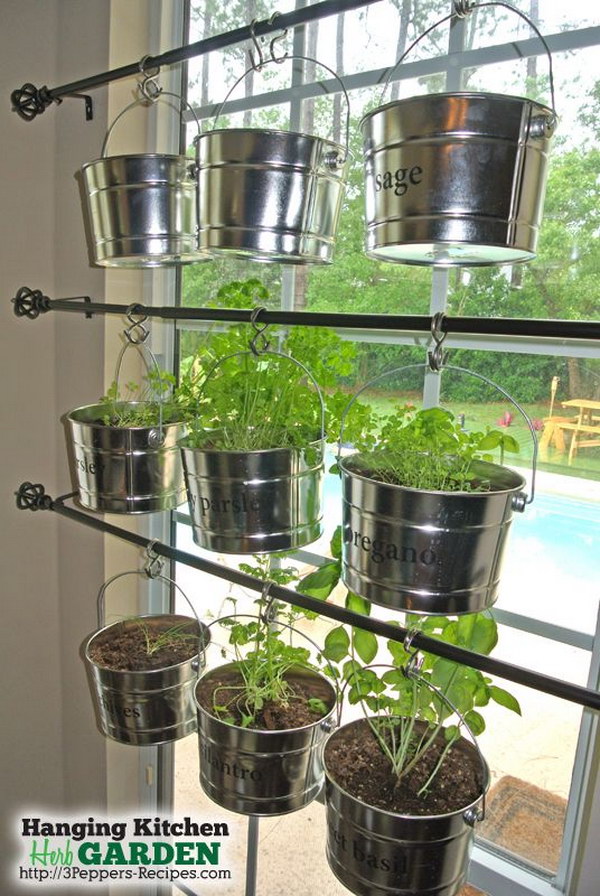 DIY Hanging Kitchen Herb Garden 