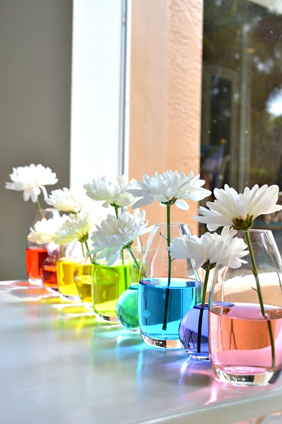 Create a Rainbow Centerpiece Using Food Coloring 