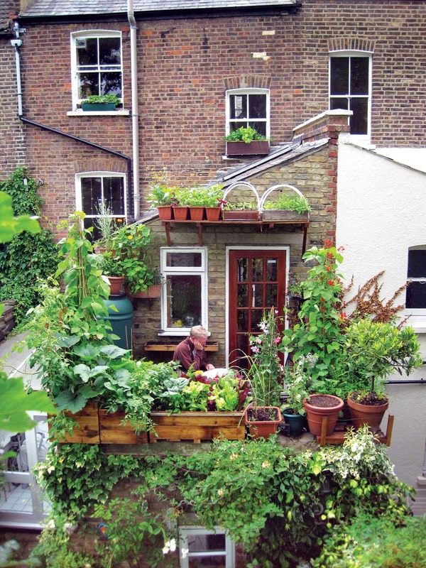 Cute Rooftop Garden 