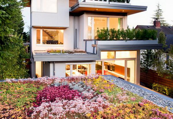 Rooftop Garden Incorporated With Living Room 