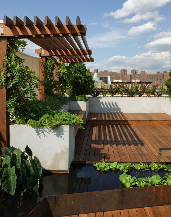 Roof Gardens With Ponds 