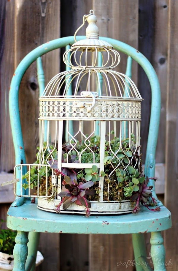 Bird Cage Planter. See more 
