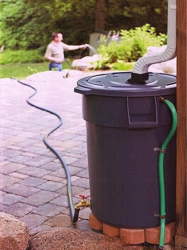 Make Your Own Rain Barrel to Water the Garden with out of a Heavy Duty Trash Can. 