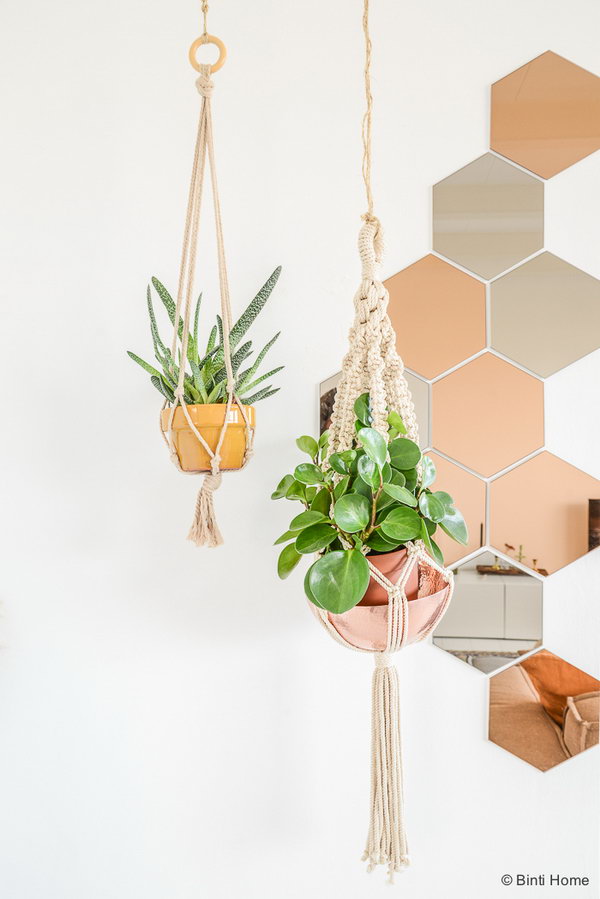 Metallic Accents for Hanging Plants. 