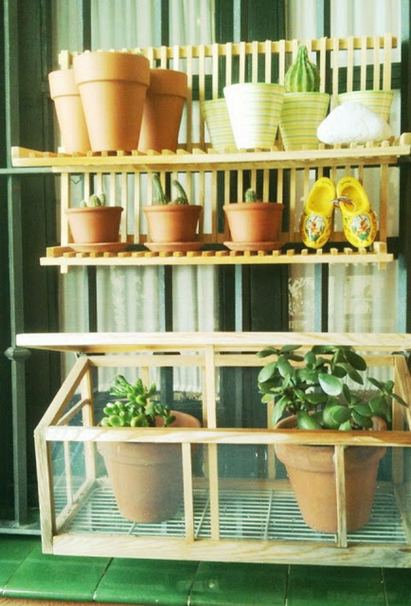 Lucky Dish Drainer Turned into plant Shelves. 