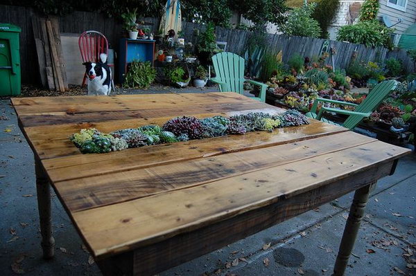DIY Succulent Pallet Table.  See the tutorial 