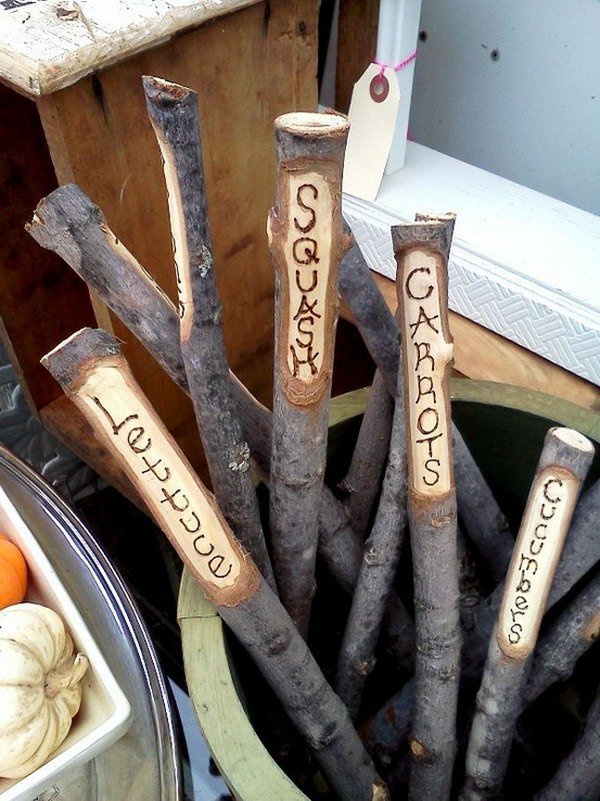 Wood Burned Twigs and Branches for Garden Decoration 