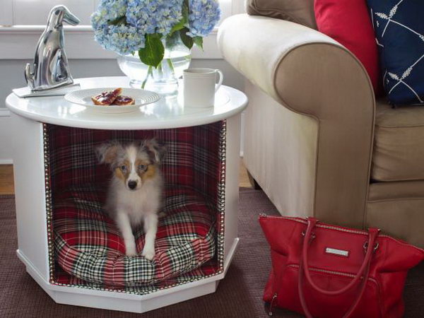 Make a Combination Pet Bed and End Table. 