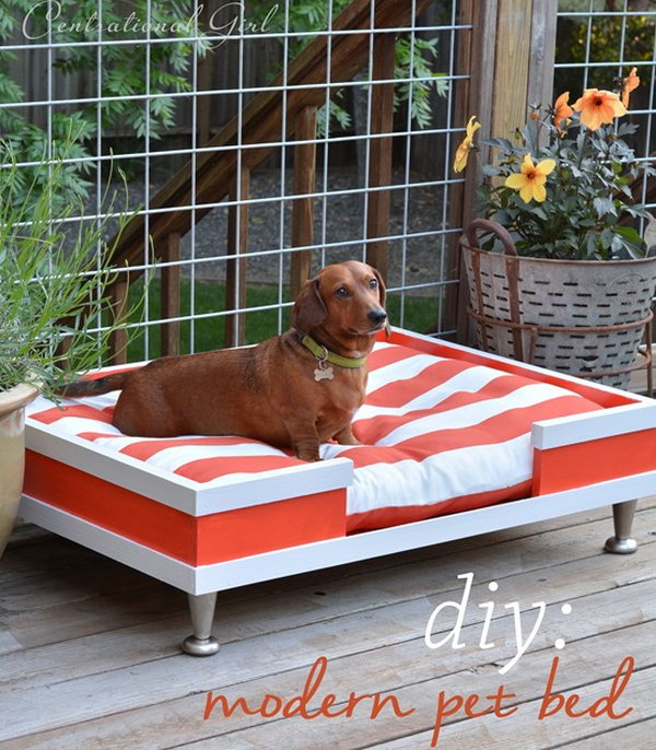 DIY Modern Wood Pet Bed. 