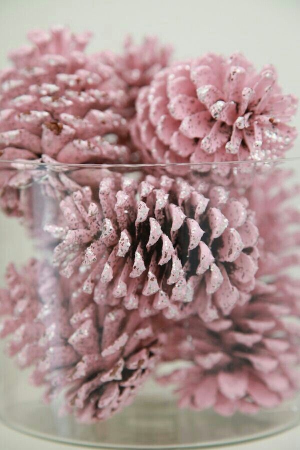 Pink Glittery Pine Cones. 