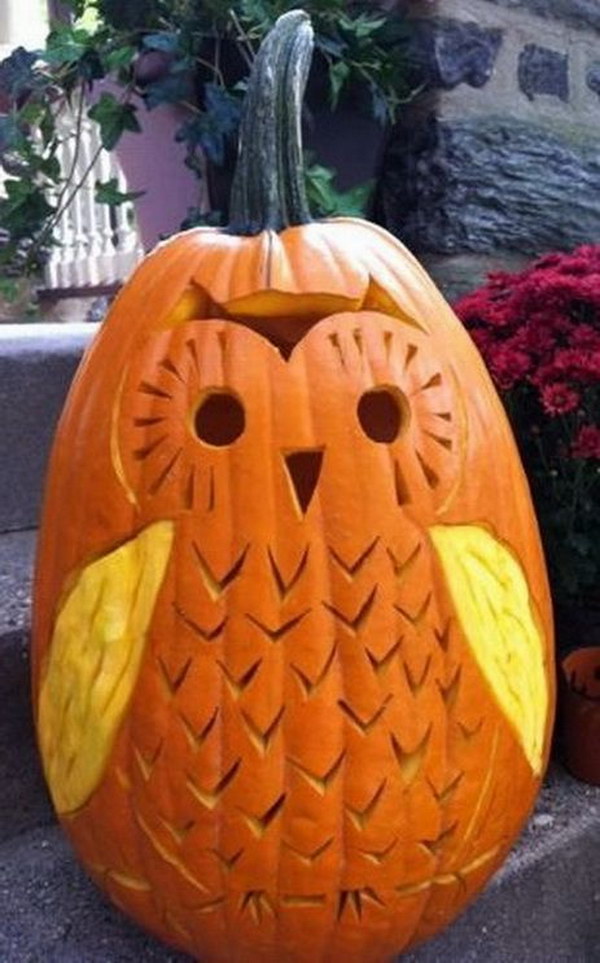 Cute Owl Pumpkin Carving. 