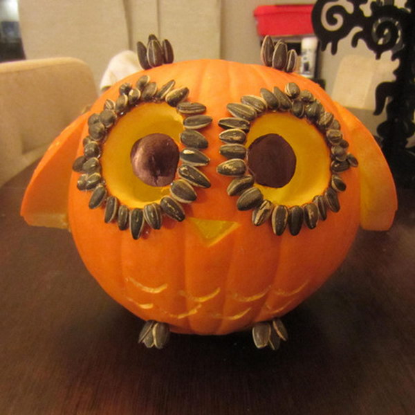 Little Owl Carved Pumpkin with Wings. 