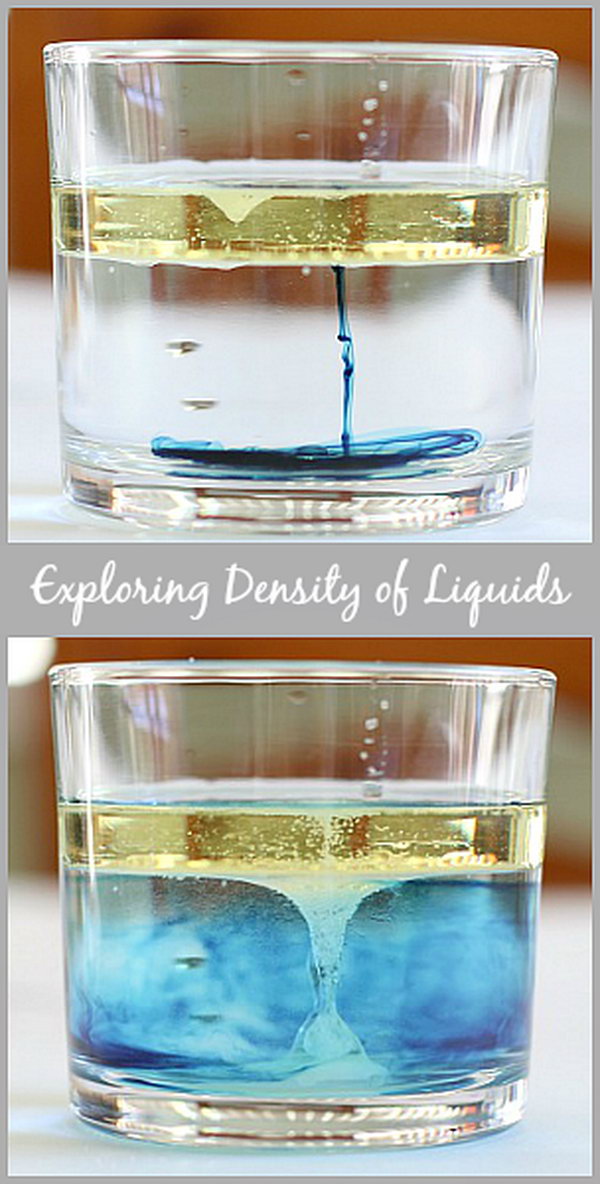 Cool Science Experiments: A super fun way for kids to explore the density of liquids just with a few household material in your kitchen! All you need is clear glass,water, vegetable oil, food coloring, salt. Tutorial via 