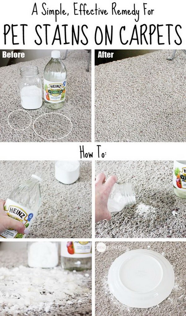 Homemade Carpet Cleaning Solutions and Tips 