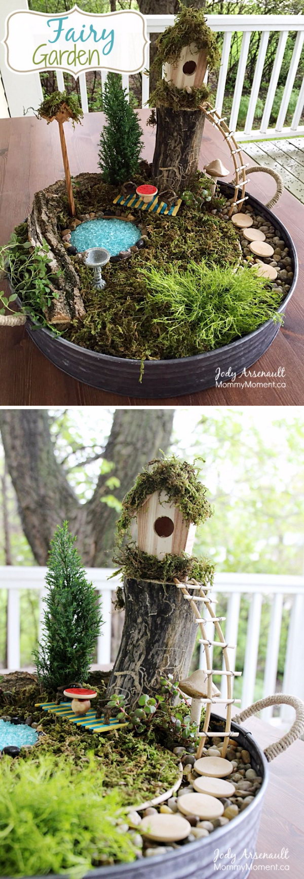 DIY Fairy Garden. 