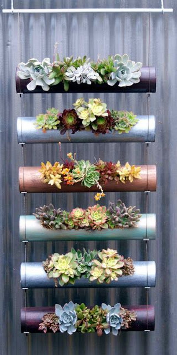 Vertical Hanging Succulents Garden Using Spray Painted PVC Pipe 