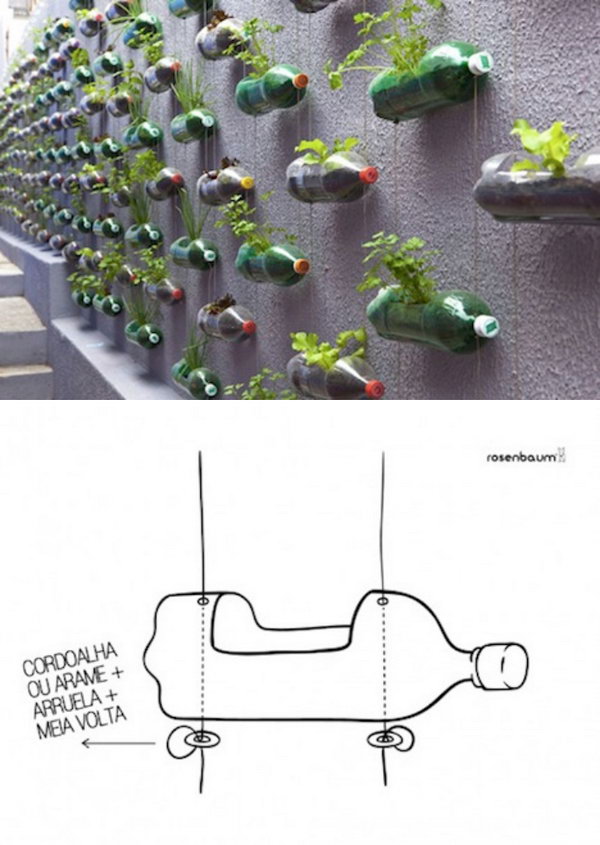 Recycled Plastic Bottle Vertical Garden. 