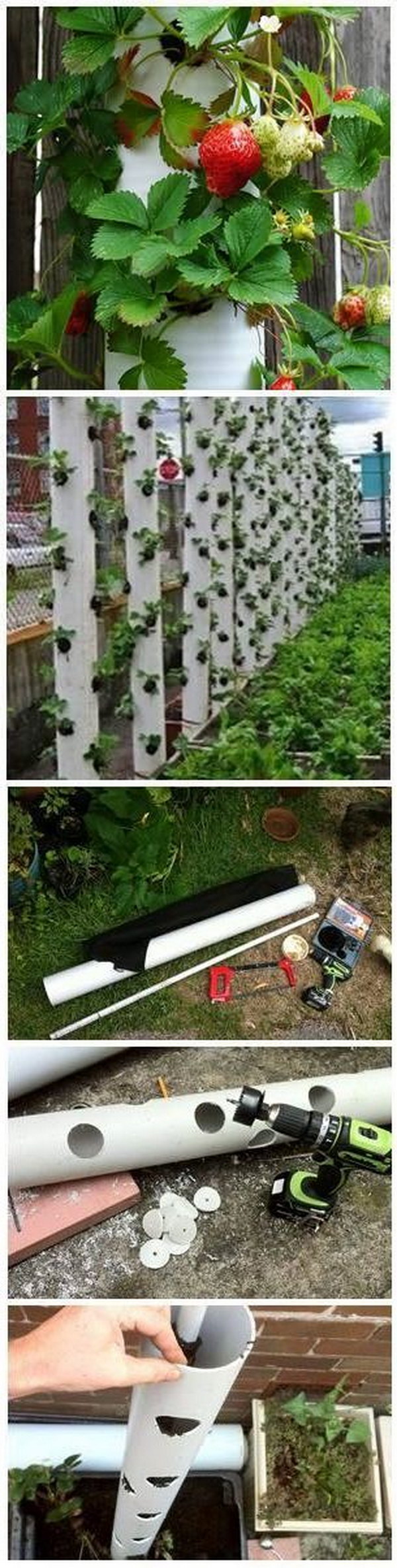 DIY Strawberry Vertical Garden Made From PVC Tubes 
