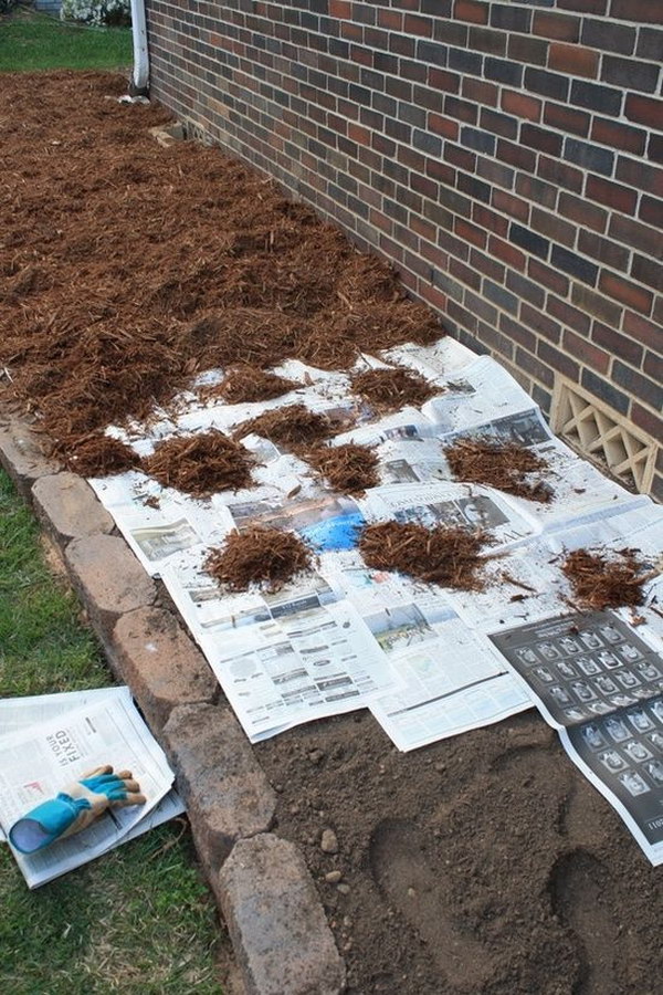The newspaper will prevent the seeds from germinating until it decompose after about 18 months. 