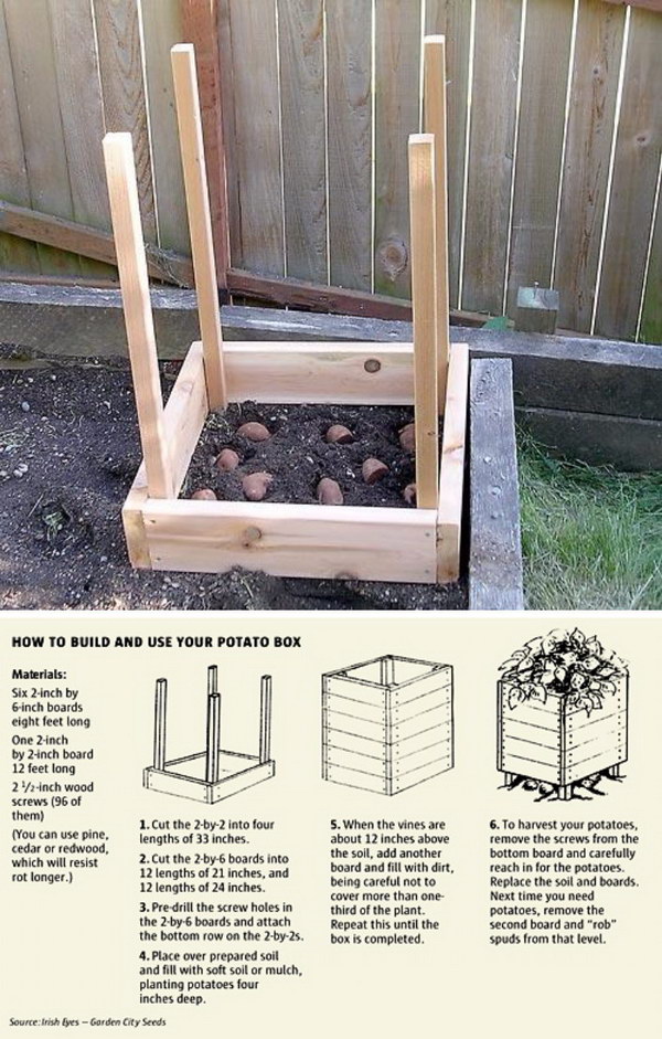 Grow 100 lbs. Of Potatoes In 4 Square Feet. 