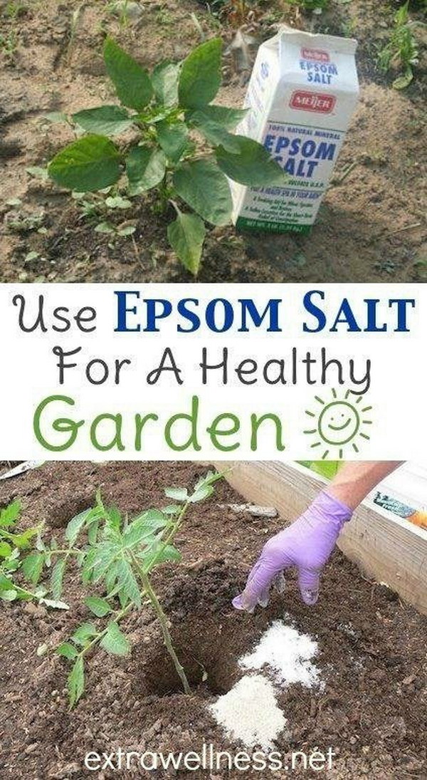 Use Epsom Salt at the Planting Stage to Aid Seed Germination. 